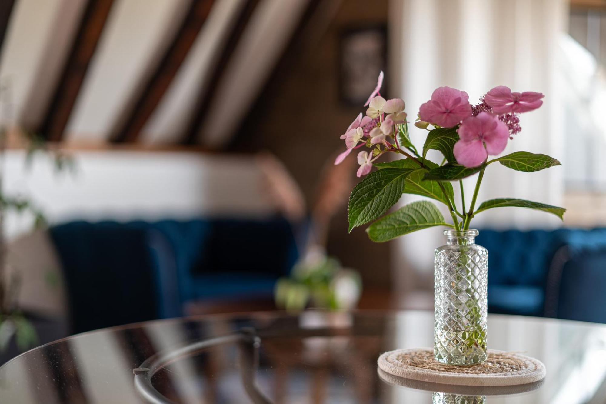 Suite Toussaint - Calme & Authentique Angers Esterno foto